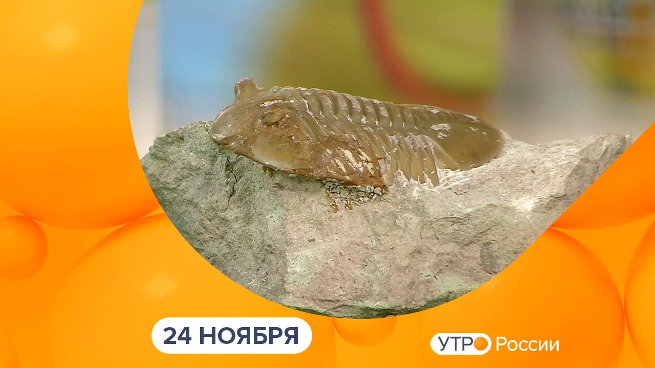 Эфир от 24.11.2023