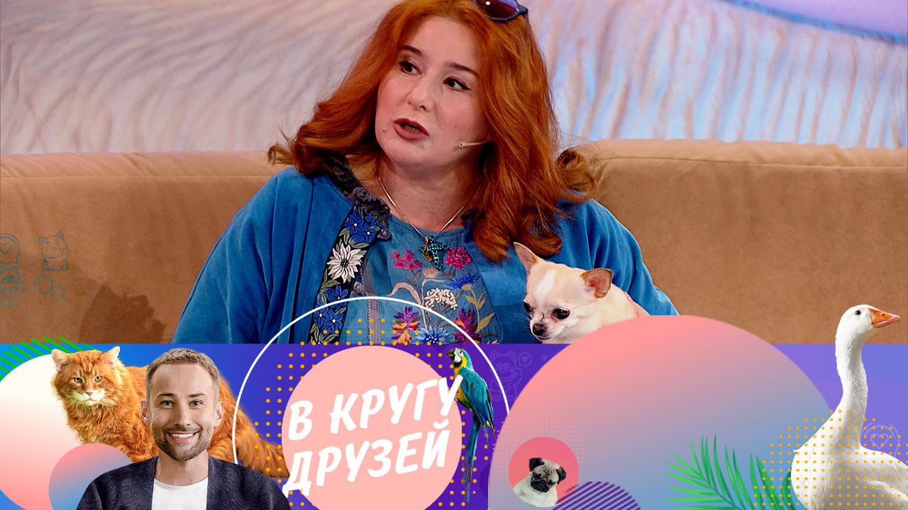Эфир от 25.11.2023