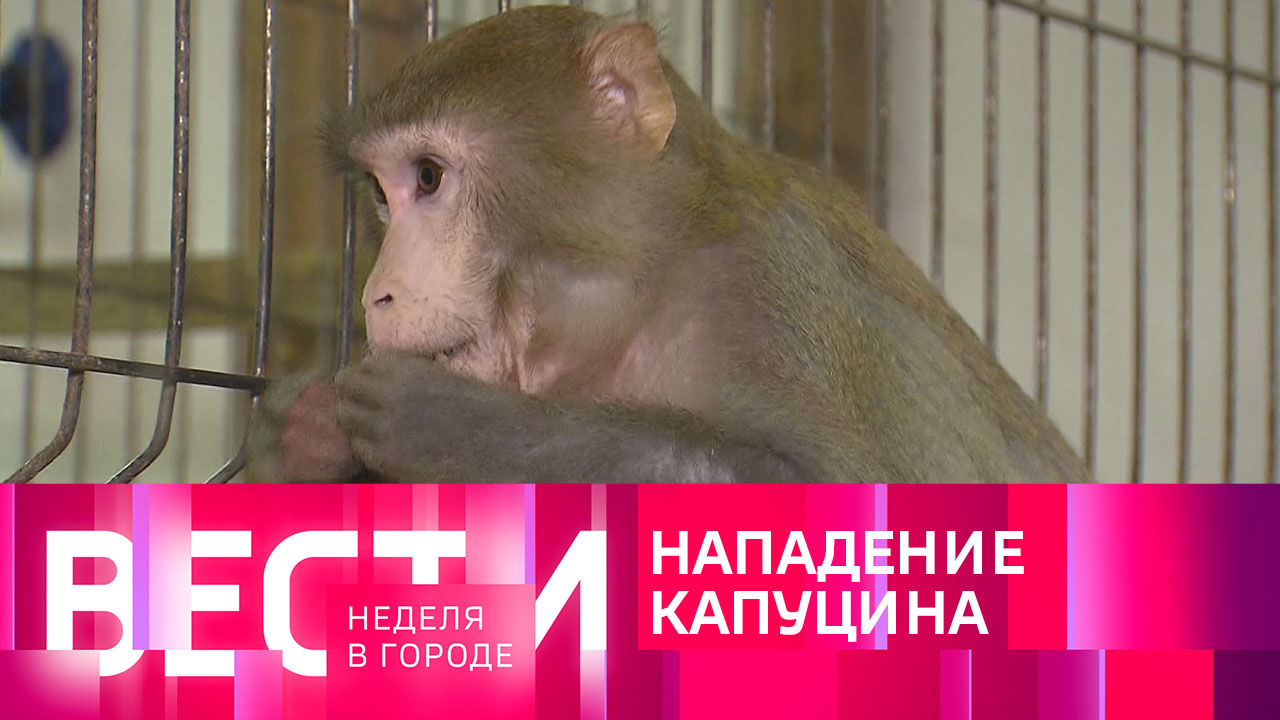 Эфир от 26.11.2023