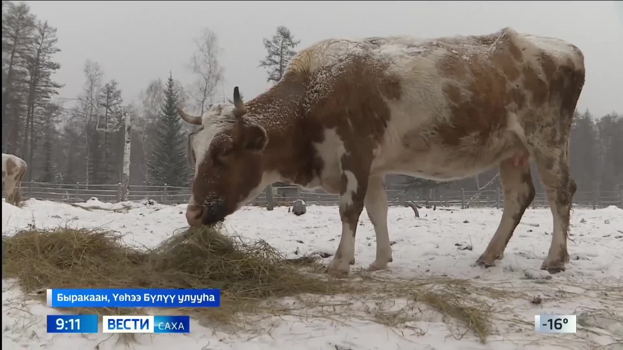 Эфир от 21.11.2023