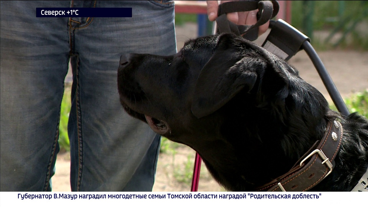 Эфир от 24.11.2023