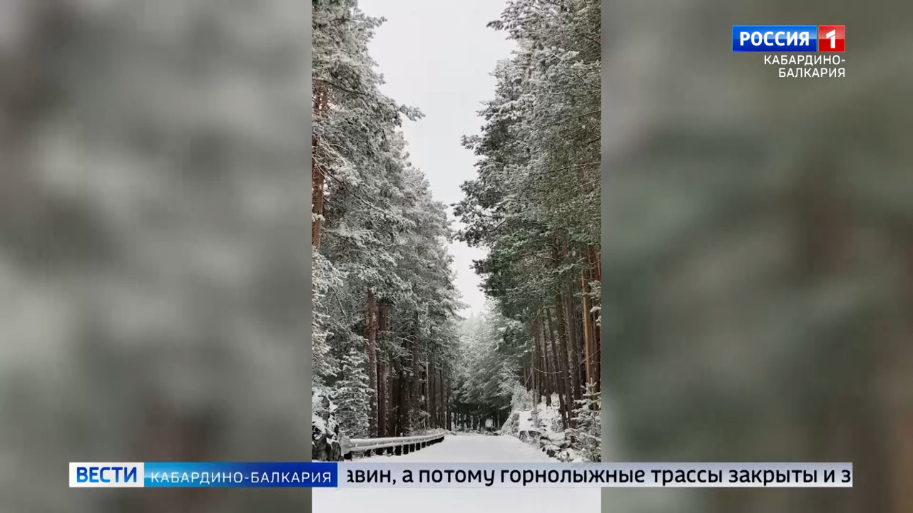Эфир от 27.11.23 (14:30)
