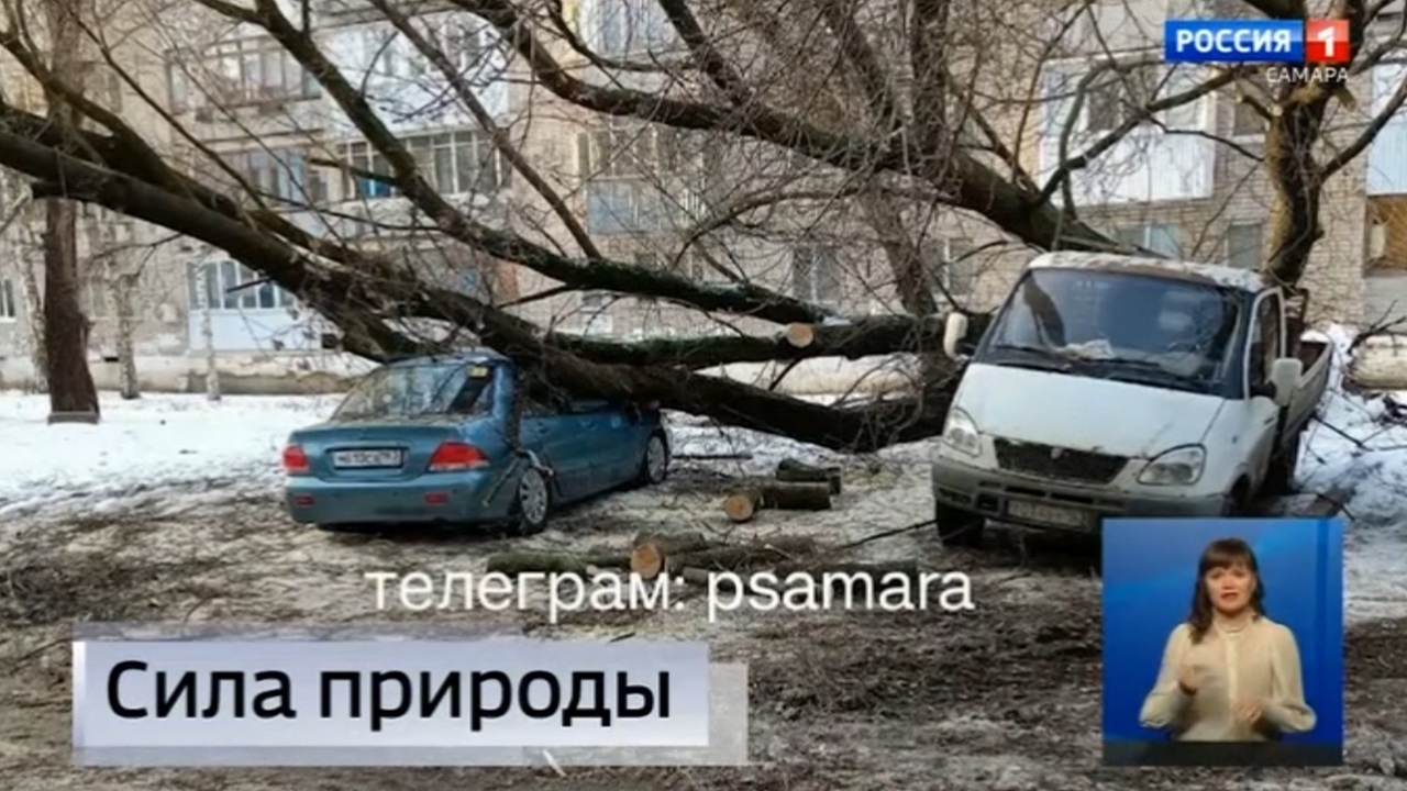Эфир от 28.11.2023 (09:00)