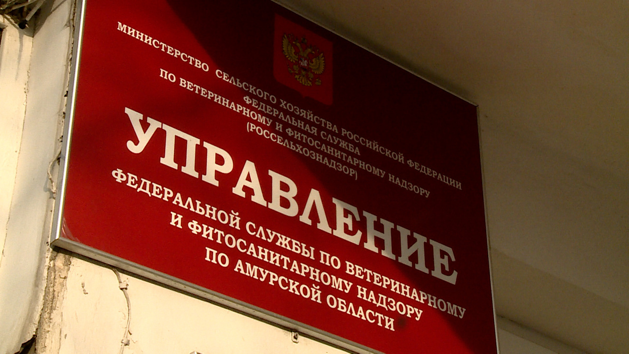 Более 40 процентов производителей фастфуда не имеют регистрации
