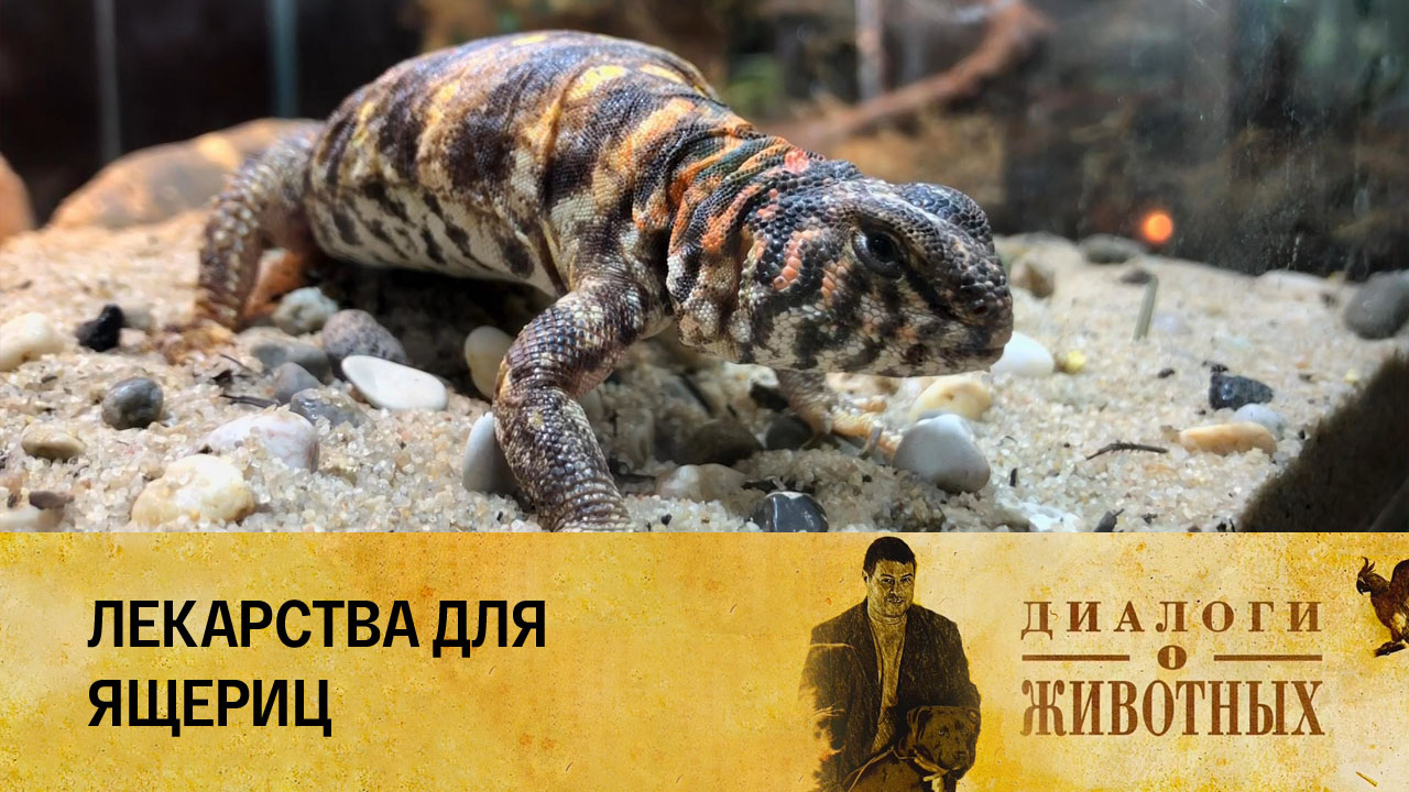 Государственный зоологический парк Удмуртии