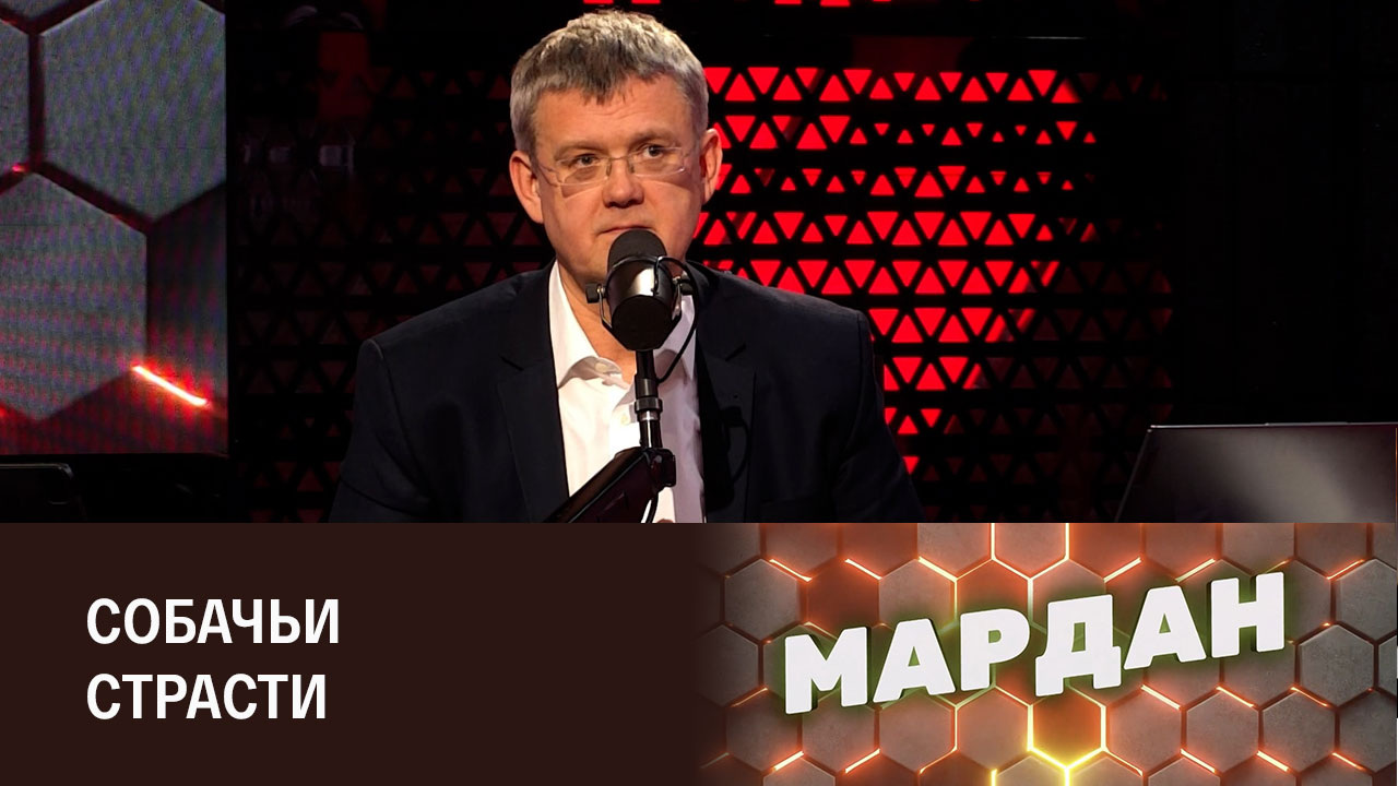 Корейцам запретят есть собак. Эфир от 30.11.2023