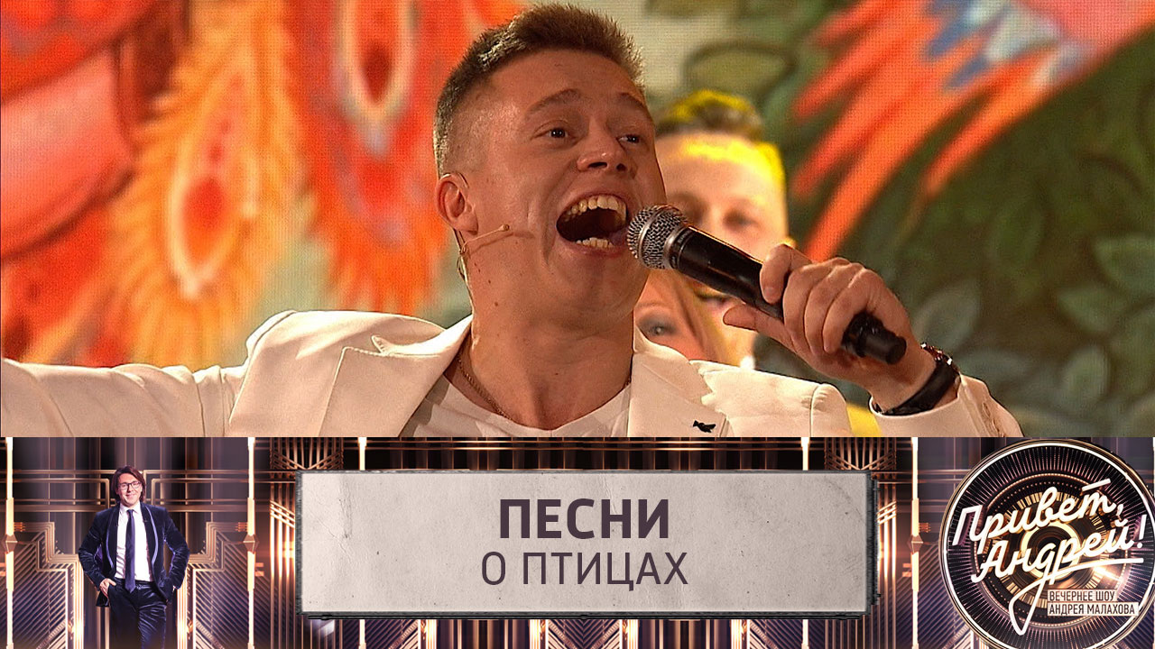 Песни о птицах. Эфир от 02.12.2023