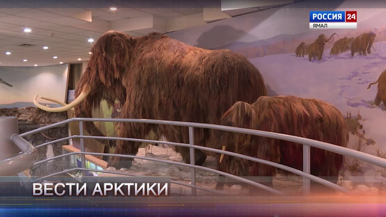 Эфир от 02.12.2023