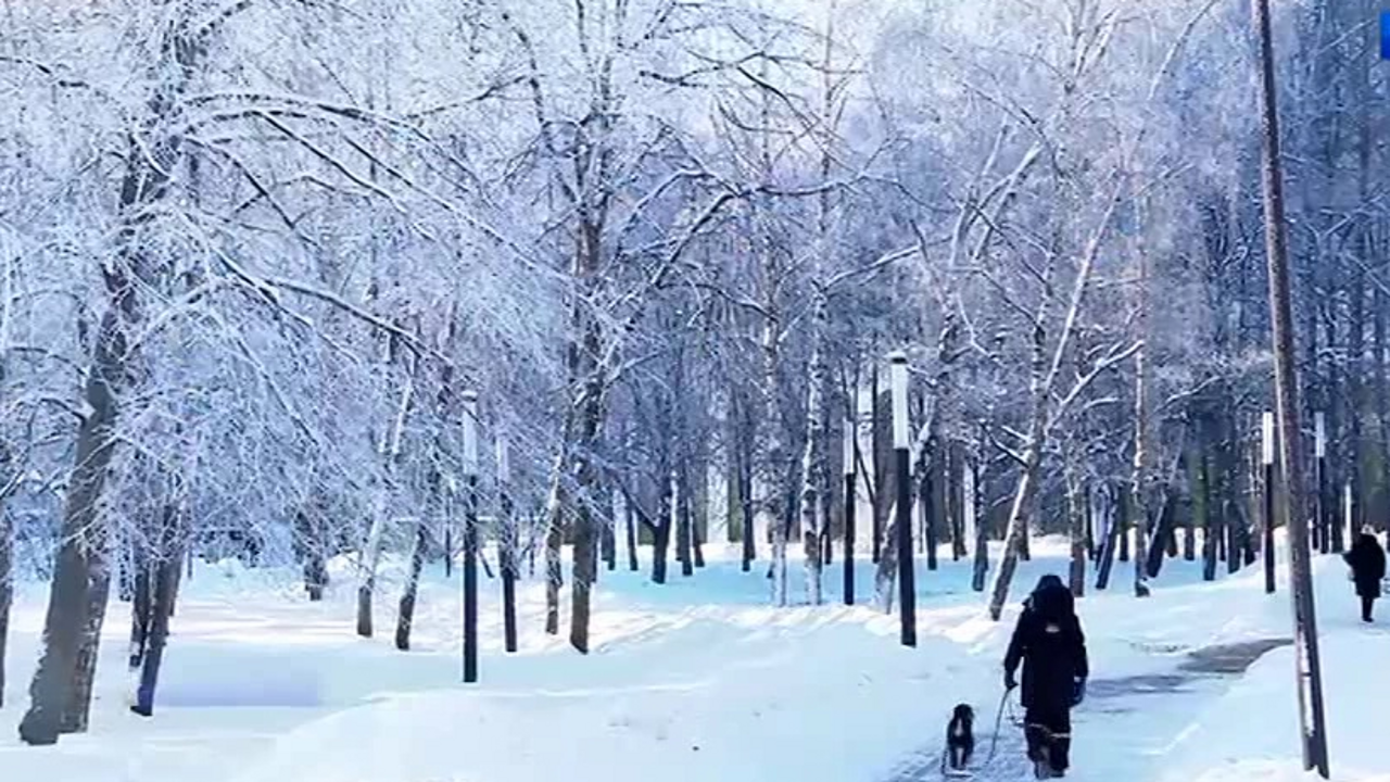 Эфир от 06.12.2023