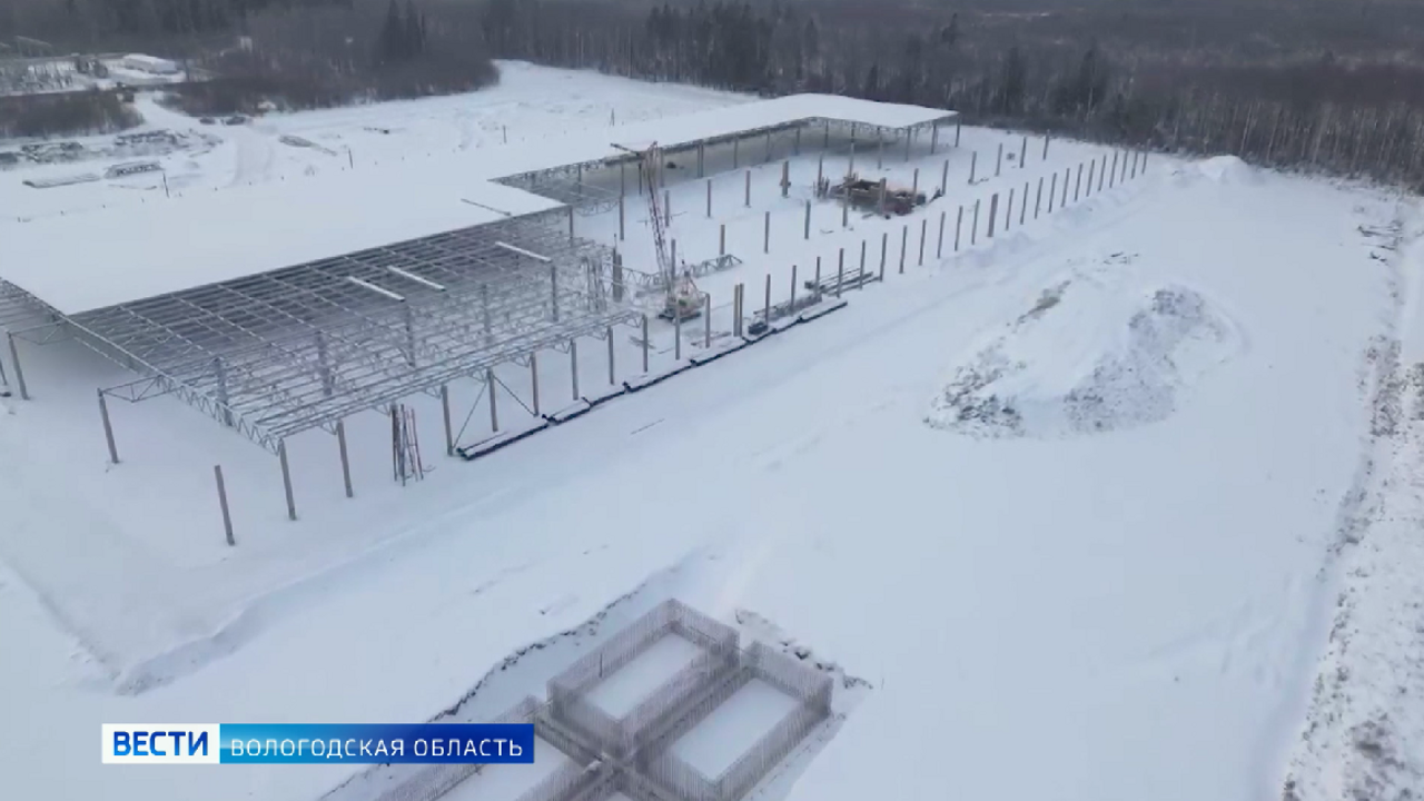 Новый завод по производству широкоформатной фанеры начали строить в Соколе