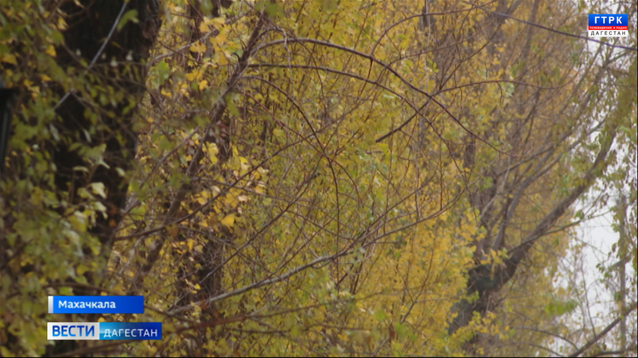 Эфир от 06.12.23