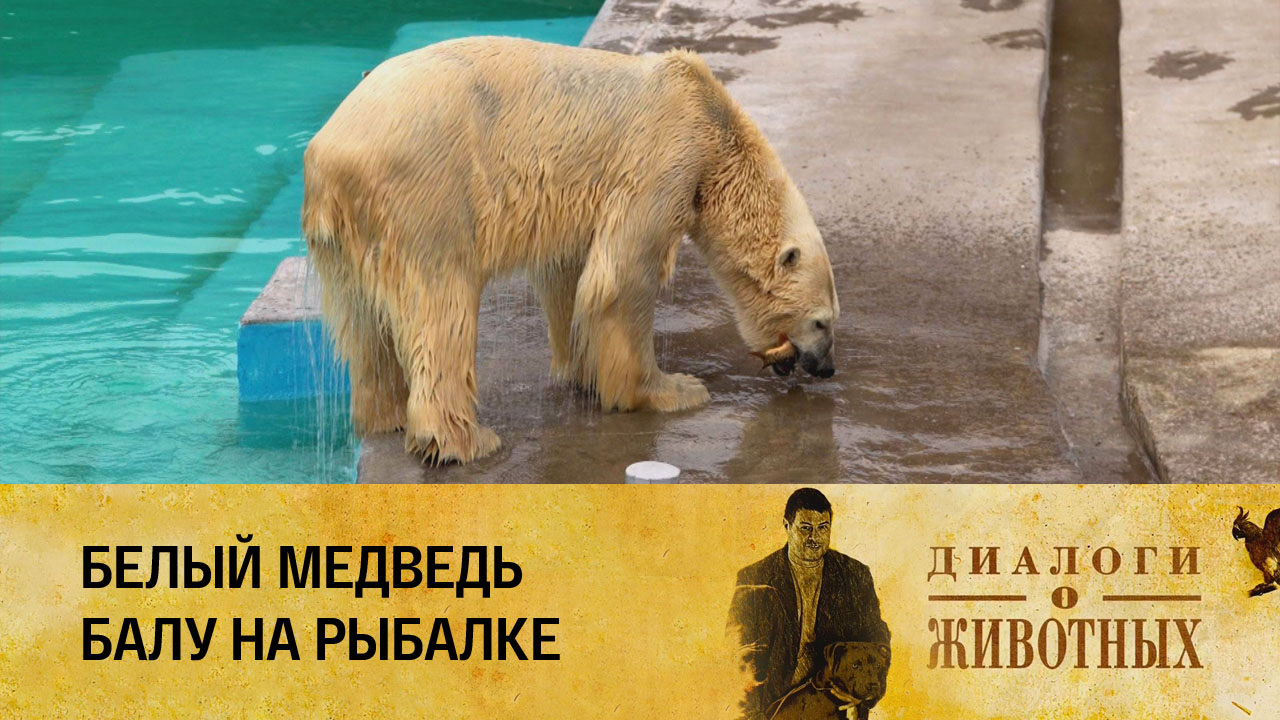 Государственный зоологический парк Удмуртии