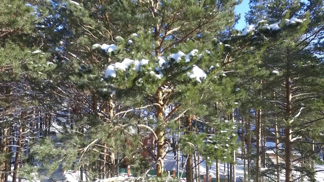 Эфир от 09.12.2023