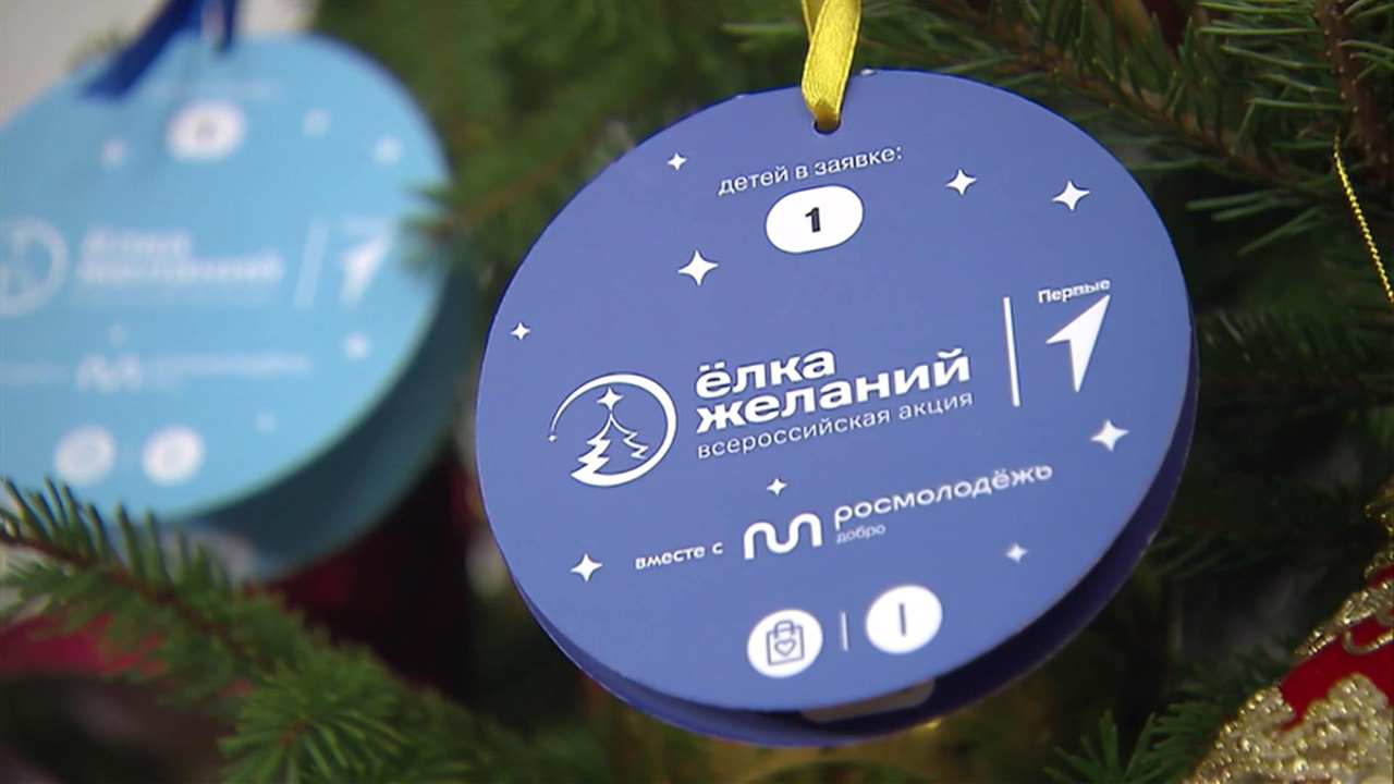 Два миллиона вопросов, "Елка желаний" и 30-летие Совета Федерации