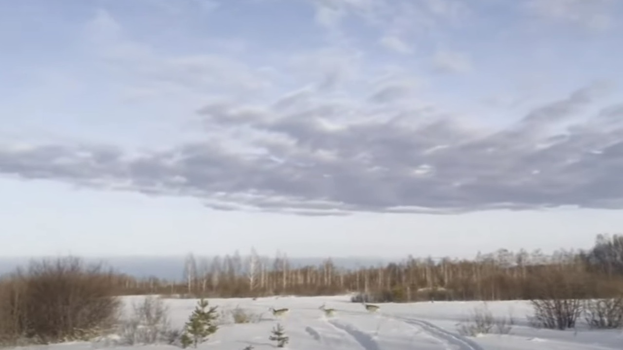 Эфир от 15.12.23 (14:30)