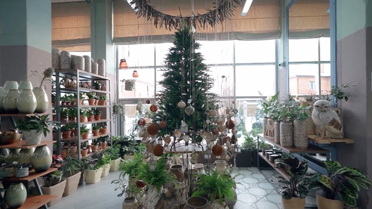 Эфир от 16.12.23