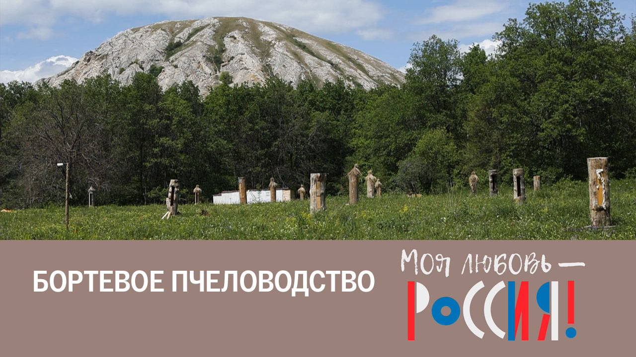 Бортничество в Башкирии