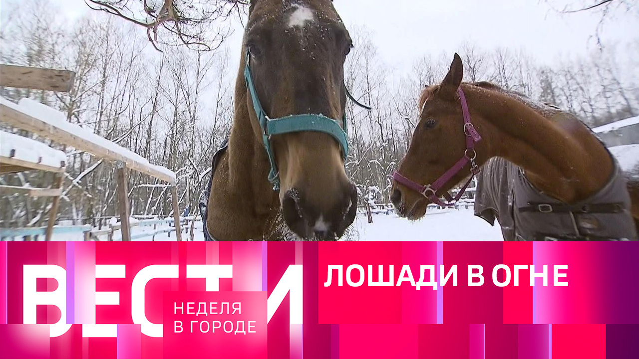Эфир от 17.12.2023