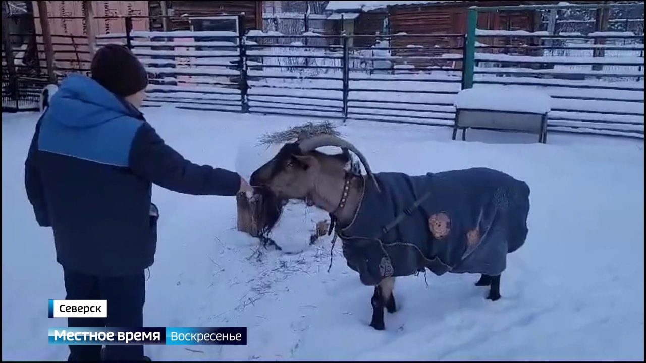 Эфир от 17.12.2023