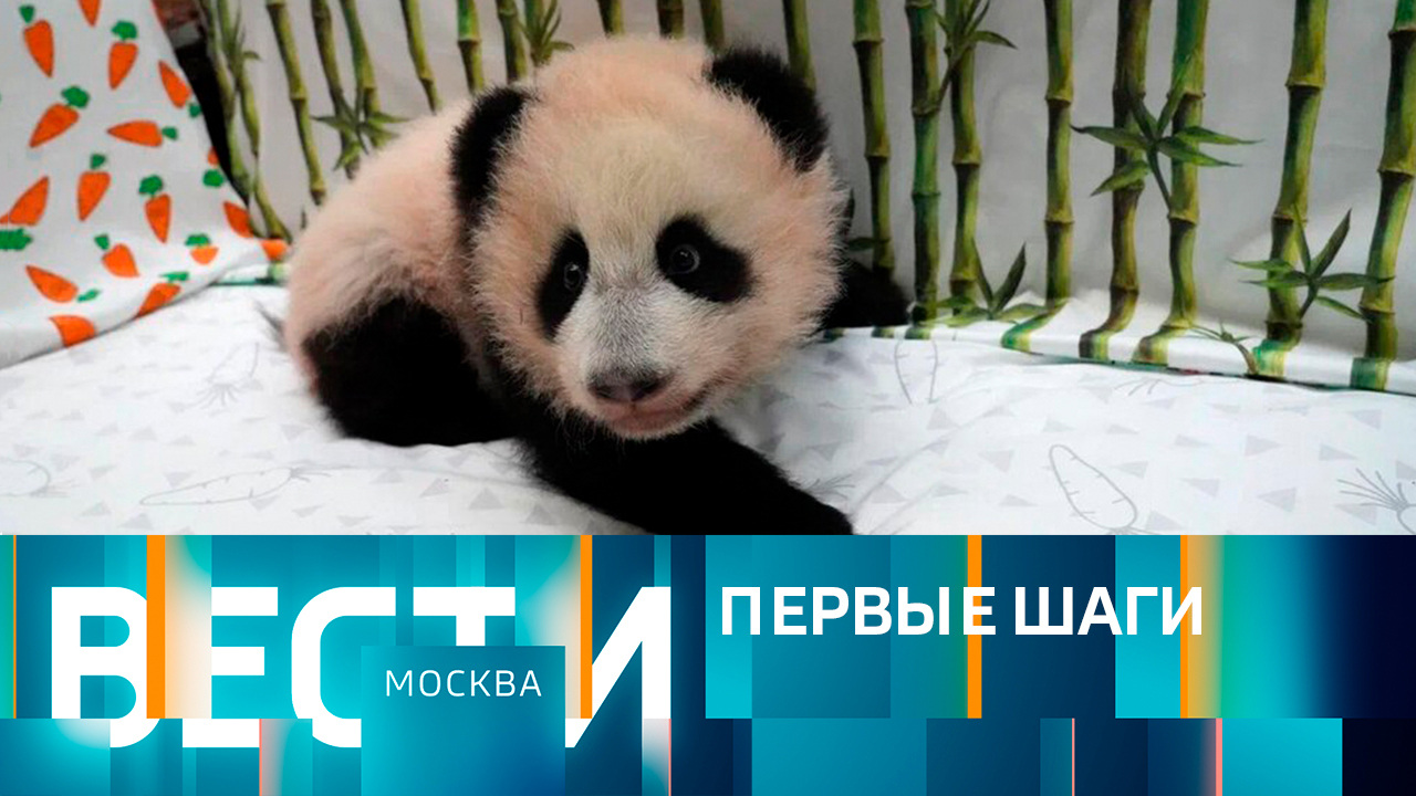 Эфир от 19.12.2023 (14:30)