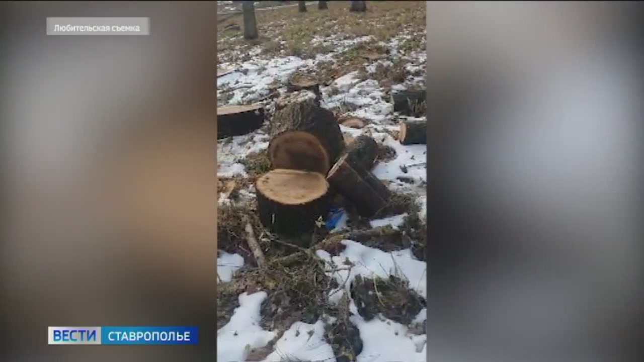 Эфир от 19.12.2023 (21:05)