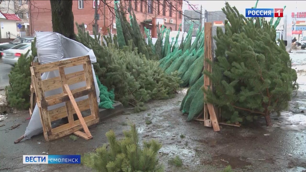 Эфир от 20.12.2023 (21:05)