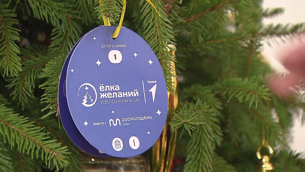 Штаб Путина, "Елка желаний", трасса М12