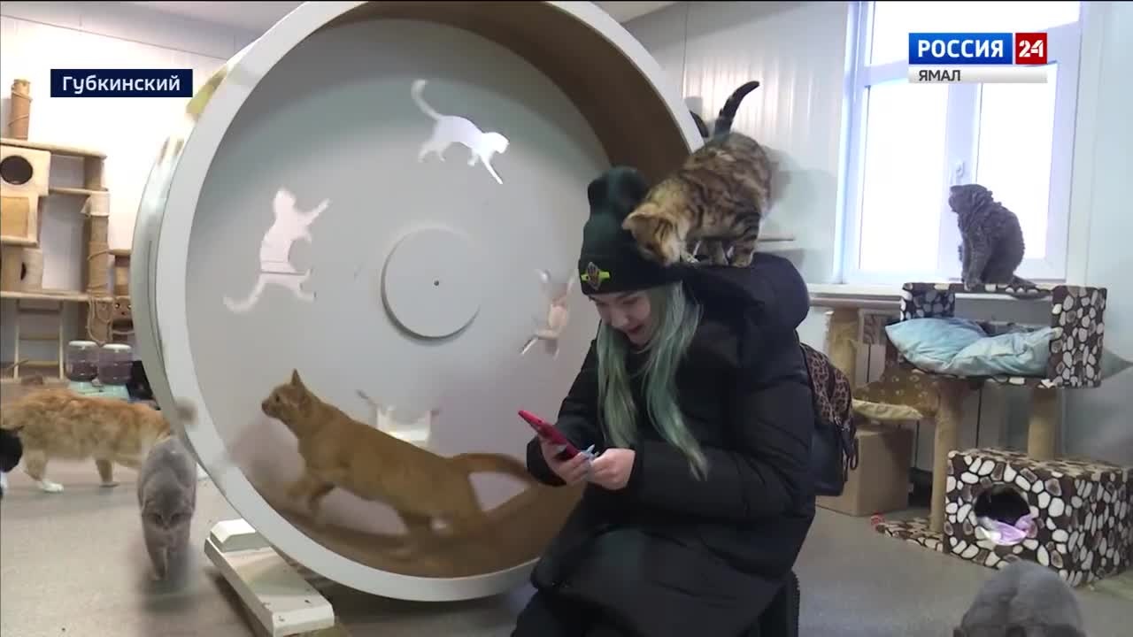 Эфир от 21.12.2023 (19:30)