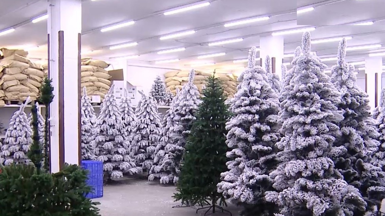 Эфир от 21.12.2023 (17:30)