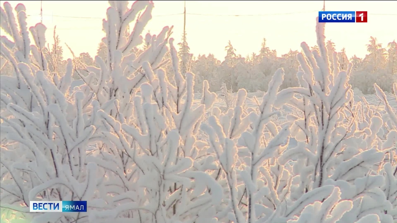 Эфир от 21.12.2023 (21:05)