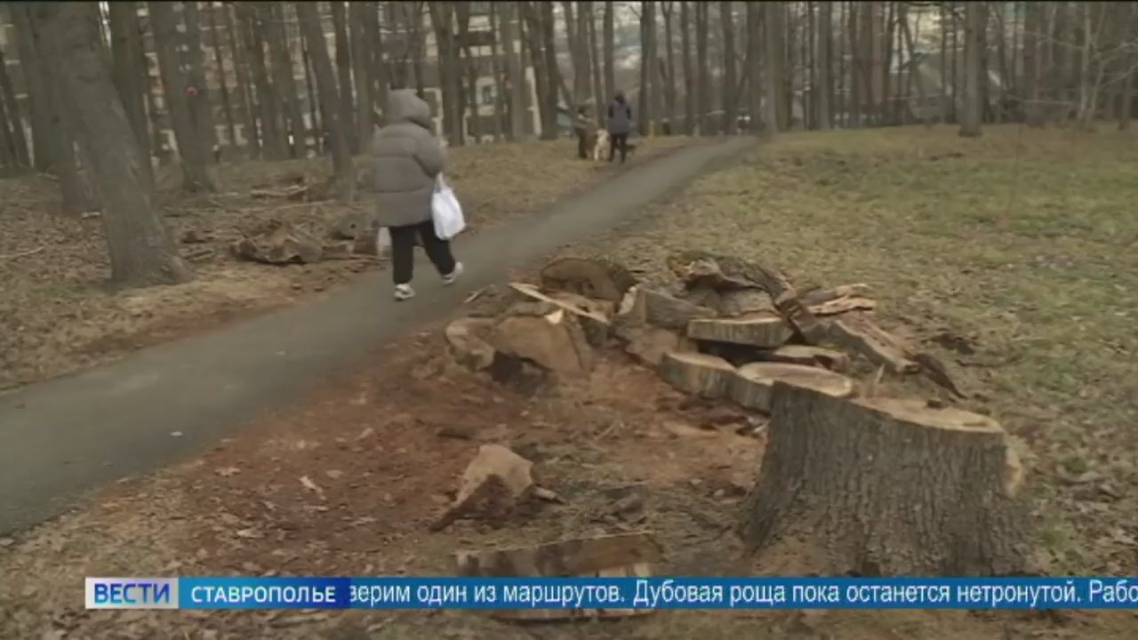 Эфир от 22.12..2023 (14:30)