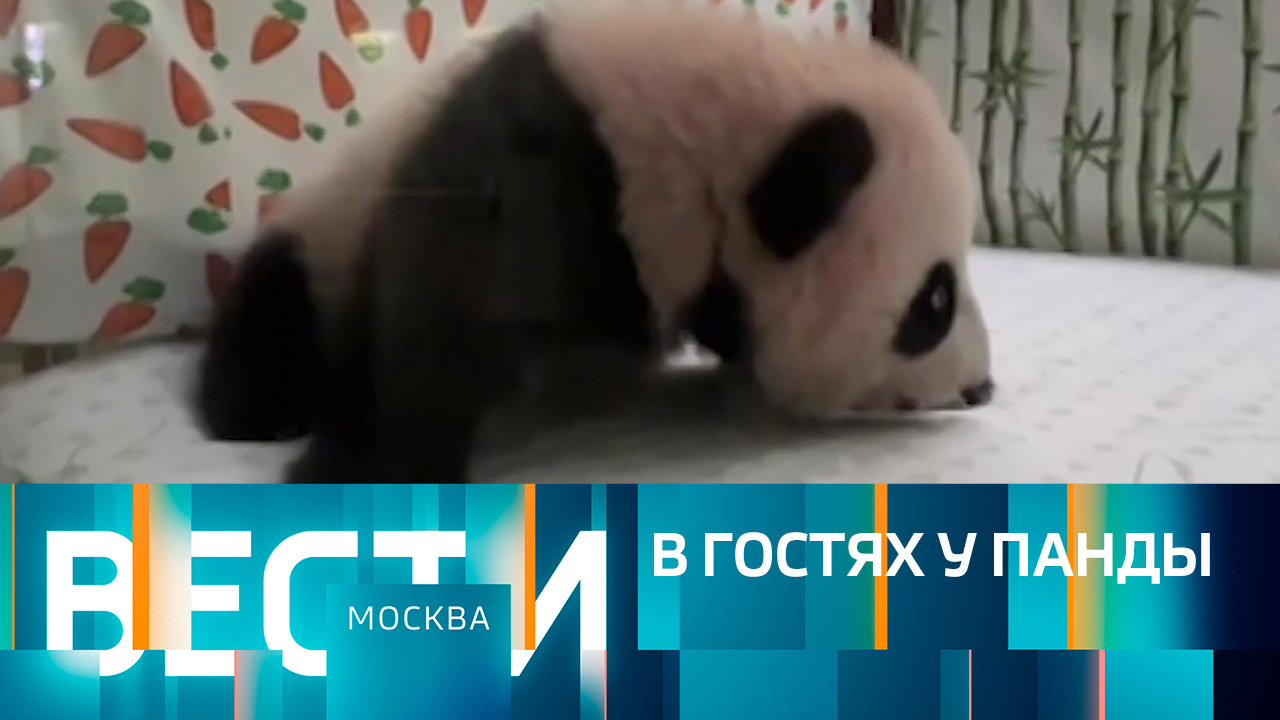 Эфир от 22.12.2023 (21:05)