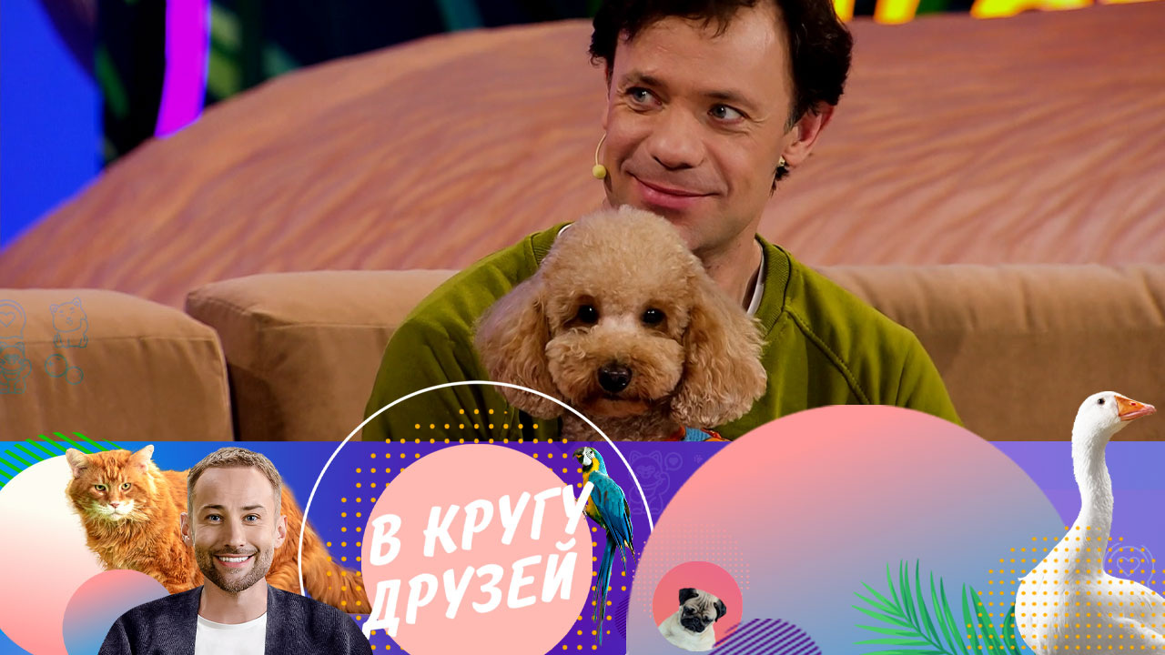 Эфир от 23.12.2023