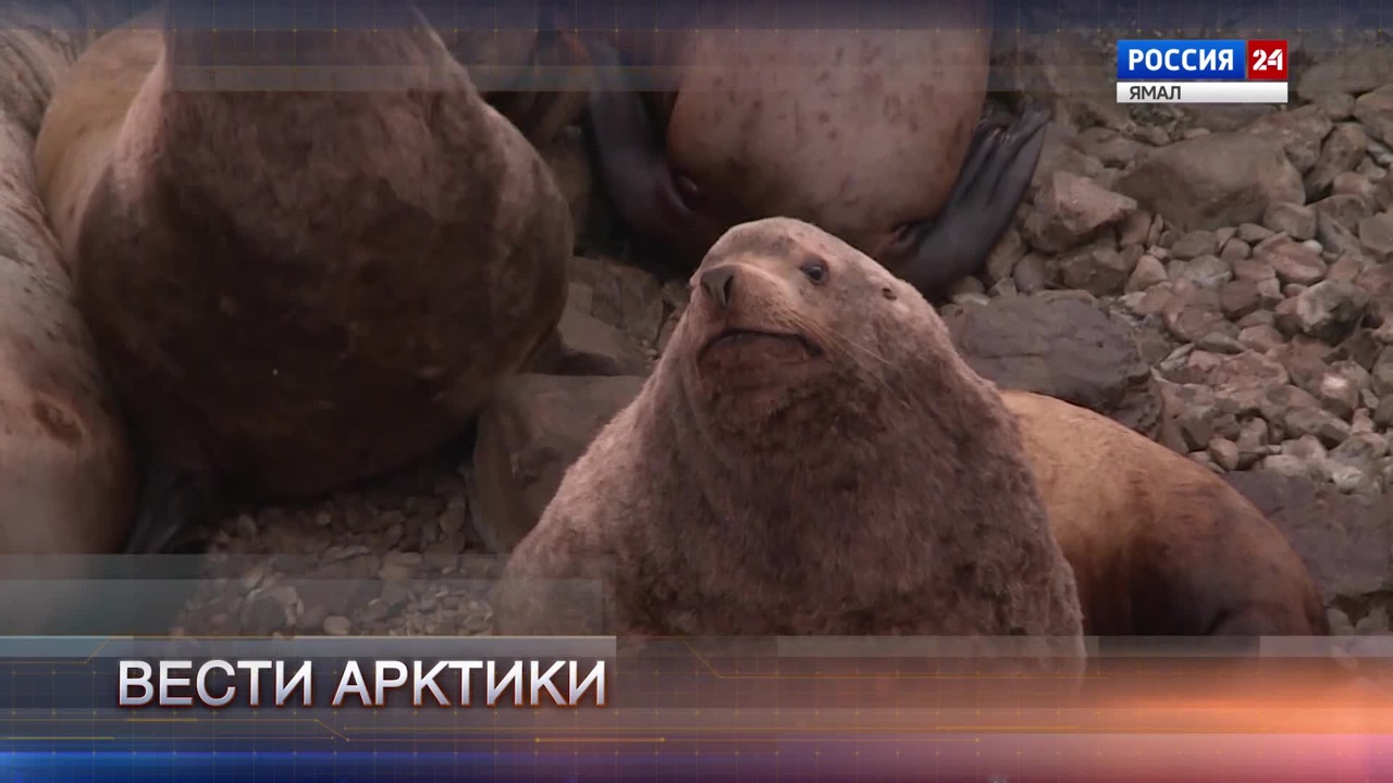 Эфир от 23.12.2023