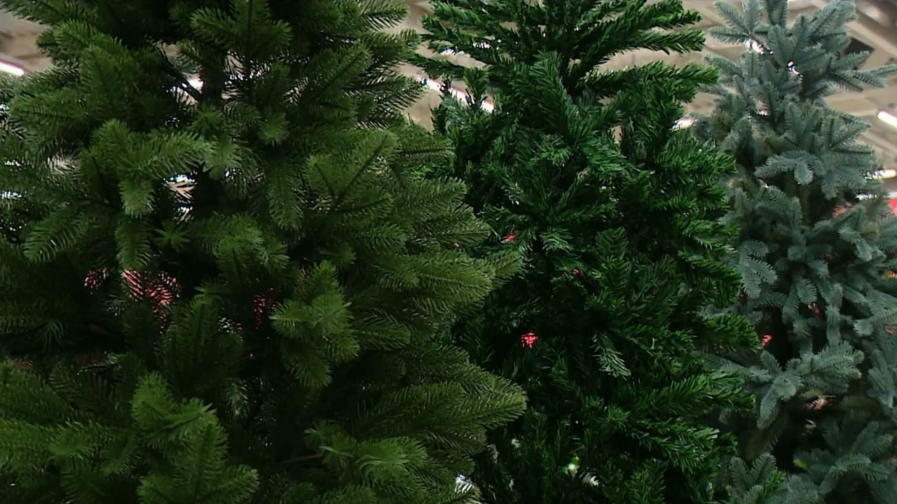 Эфир от 24.12.2023 (08:00)