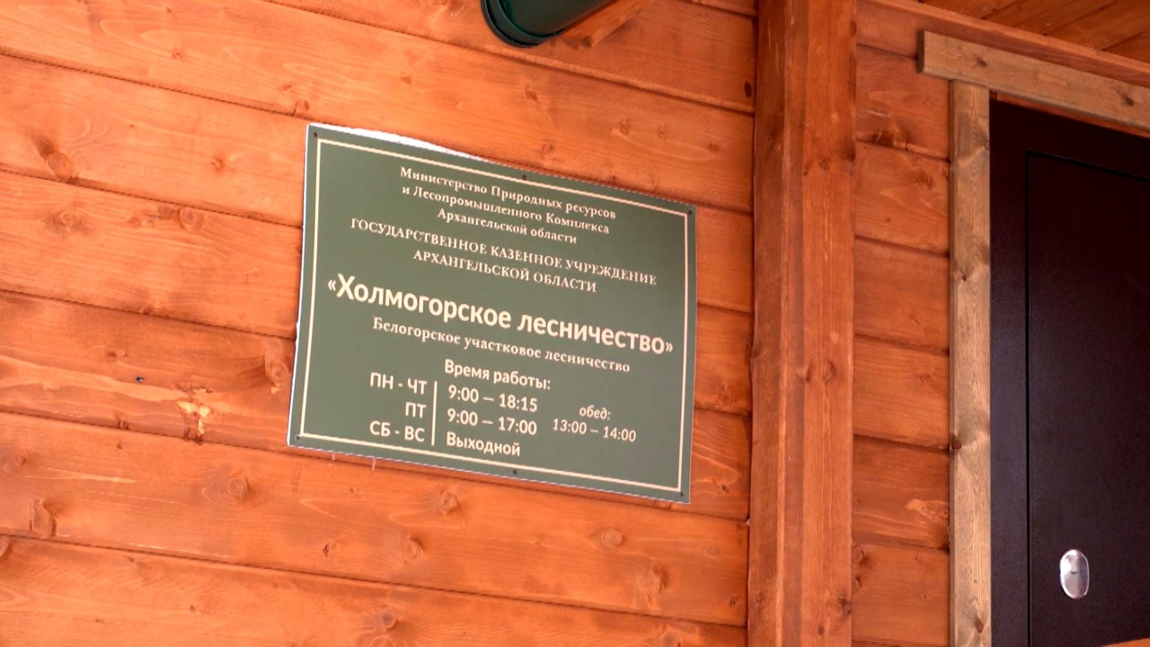 За три года в Поморье построено семь новых зданий лесничеств
