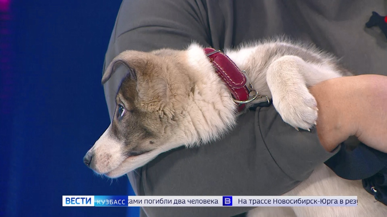Эфир от 25.12.2023 (09:00)