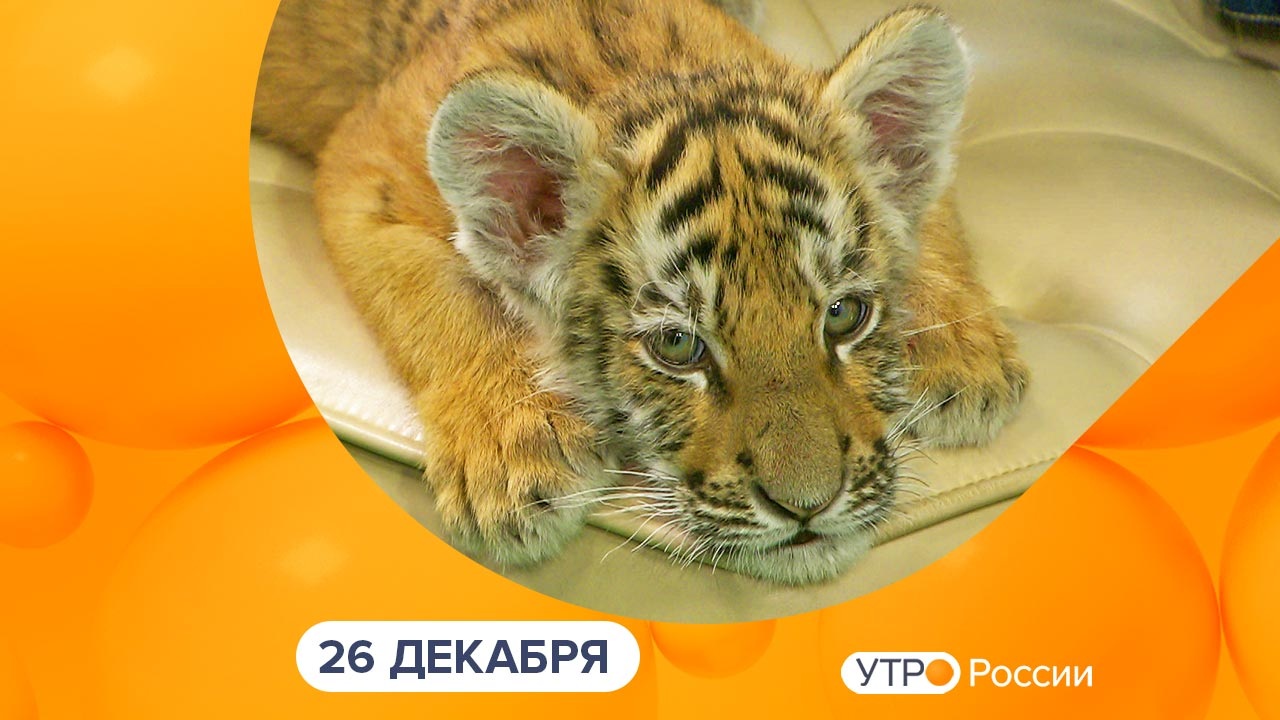 Эфир от 26.12.2023