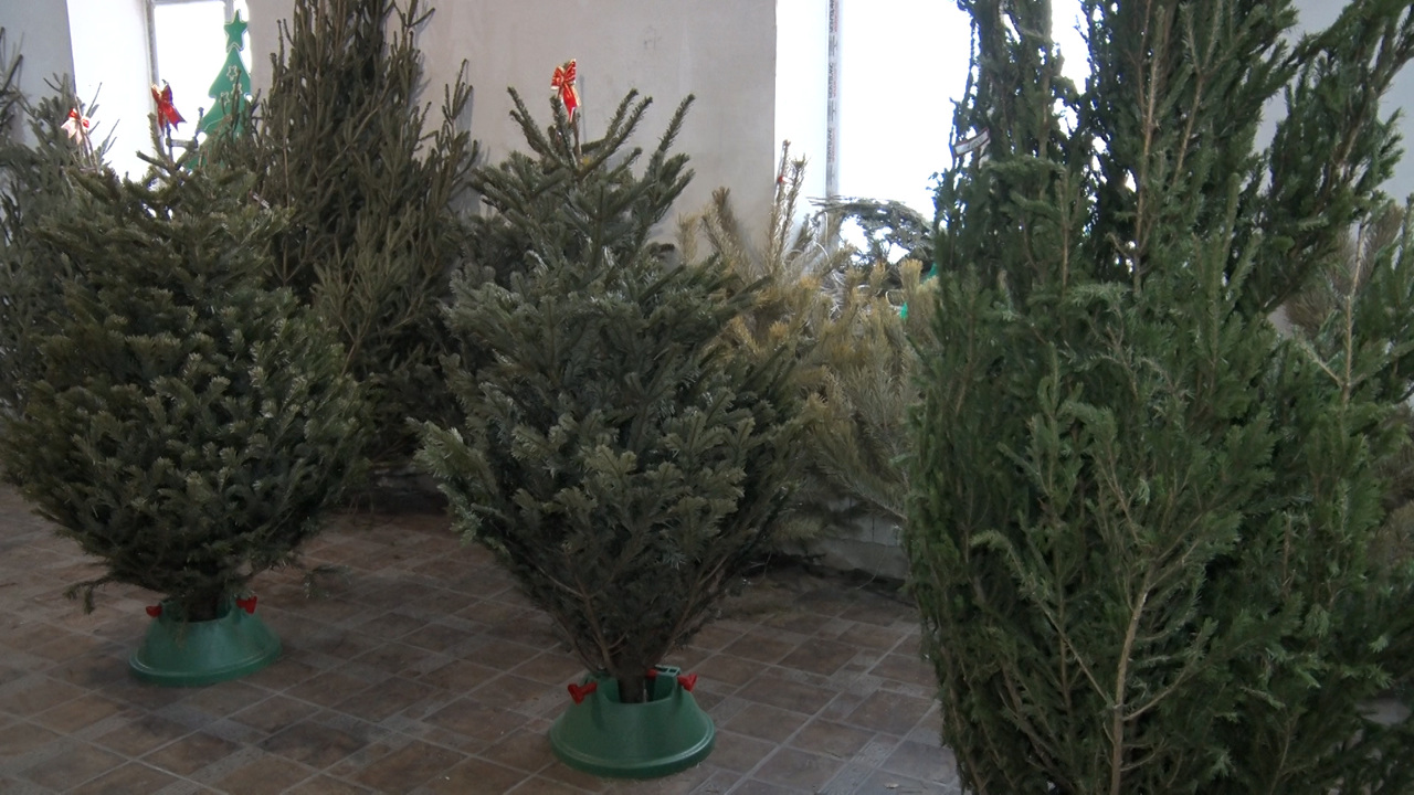Эфир от 26.12.2023 (21:05)