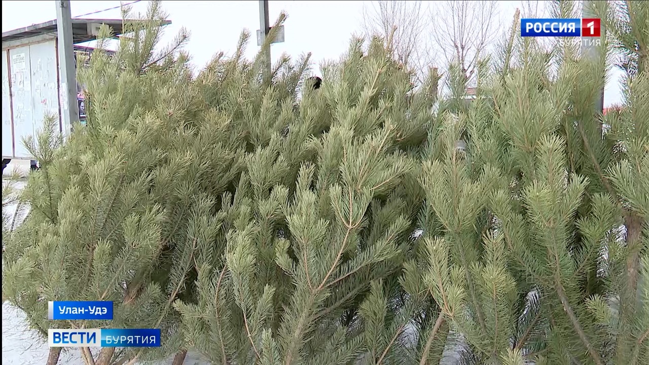 Эфир от 27.12.2023 (14:30)