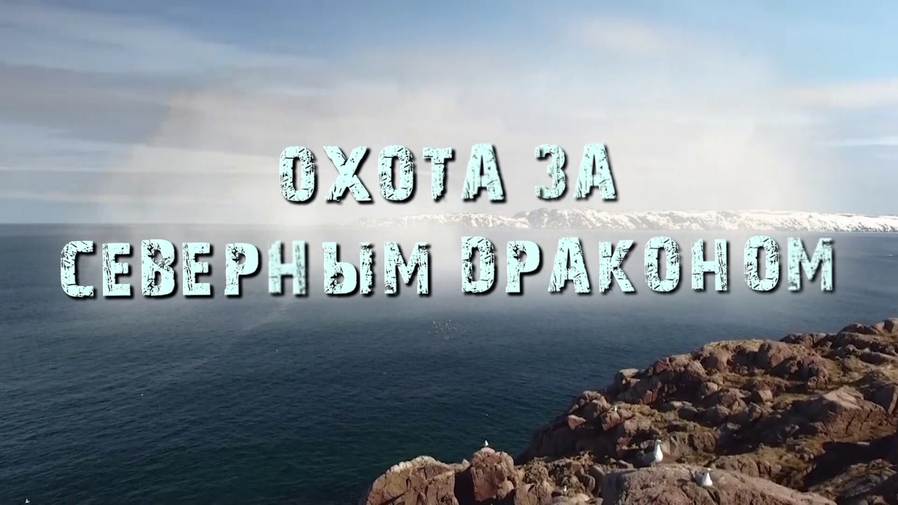 Отправляемся на поиски северного дракона