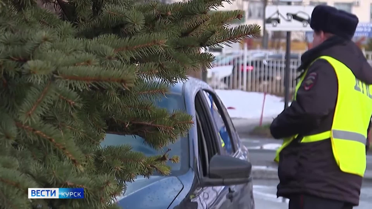 В Курске водитель "Волгабаса" получил штраф за то, что высадил пассажира в неположенном месте