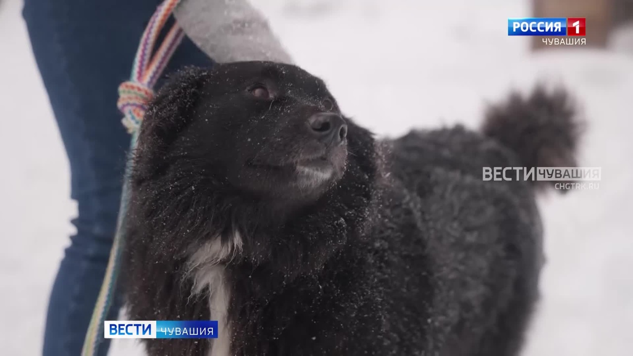 Эфир от 28.12.2023