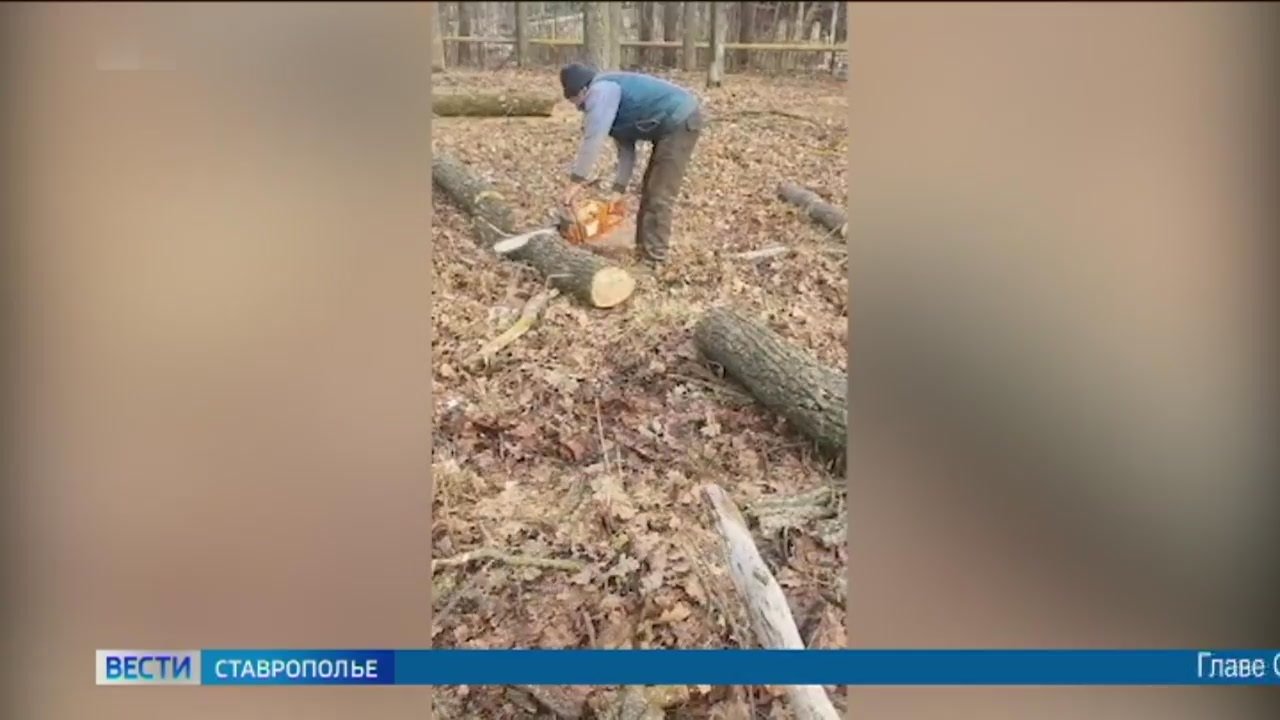 Эфир от 29.12.2023 (14:30)