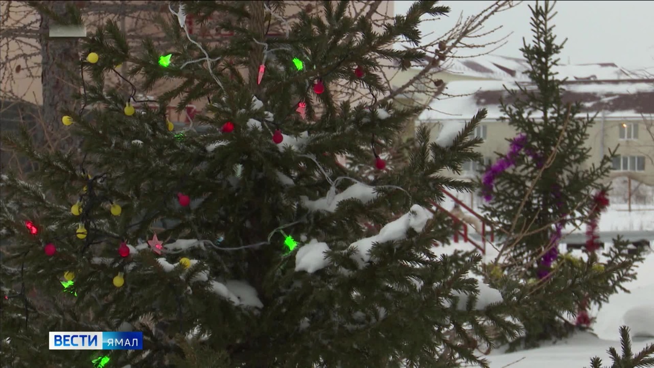 Эфир от 29.12.2023 (21:05)
