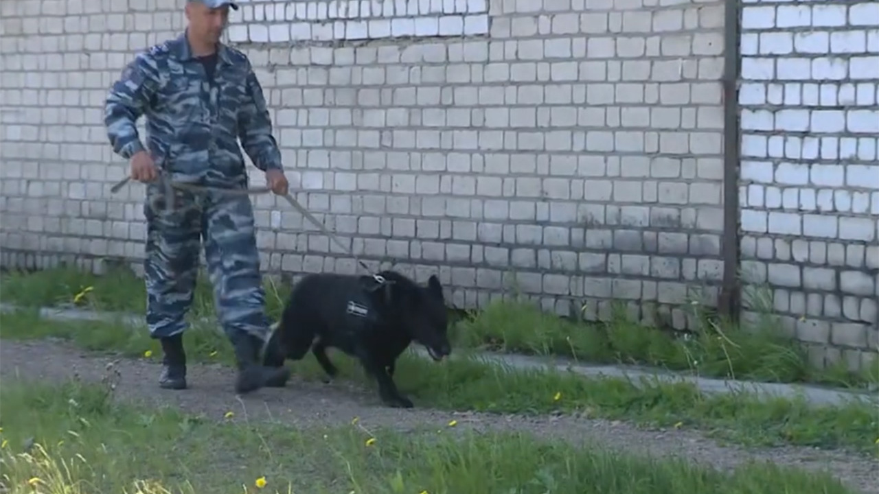 Эфир от 23.06.2023