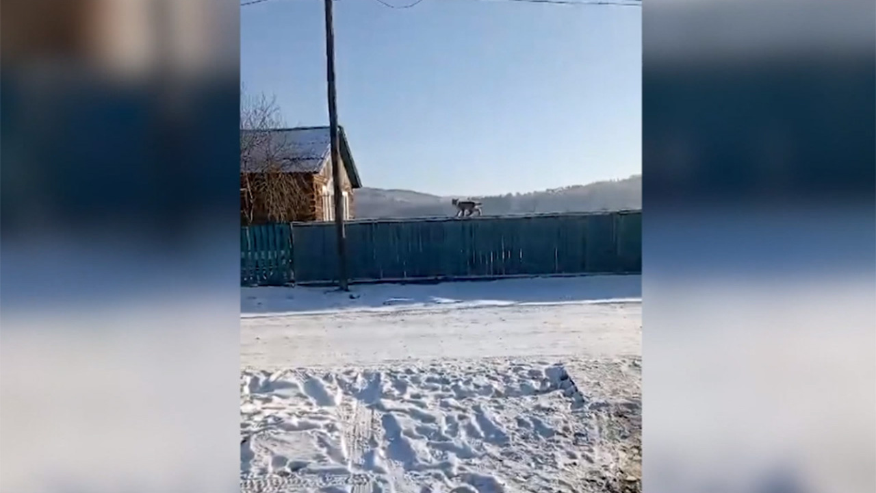 Эфир от 22.12.2023