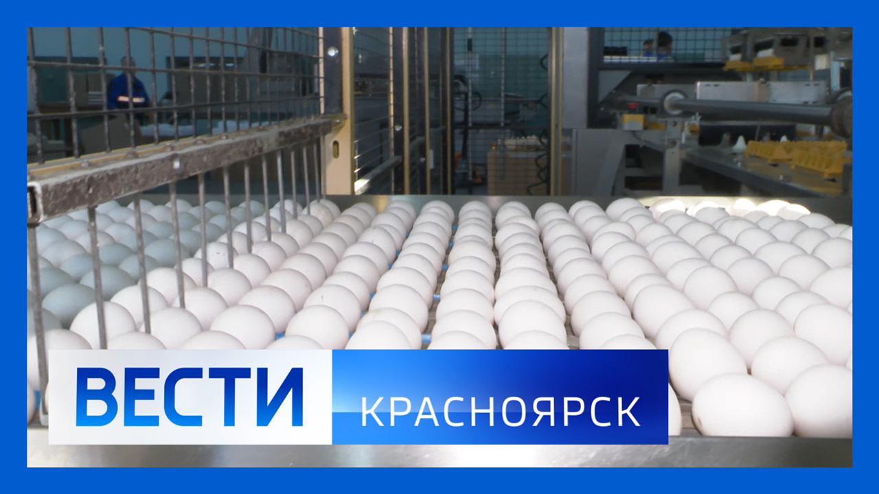 Эфир от 10.01.2024