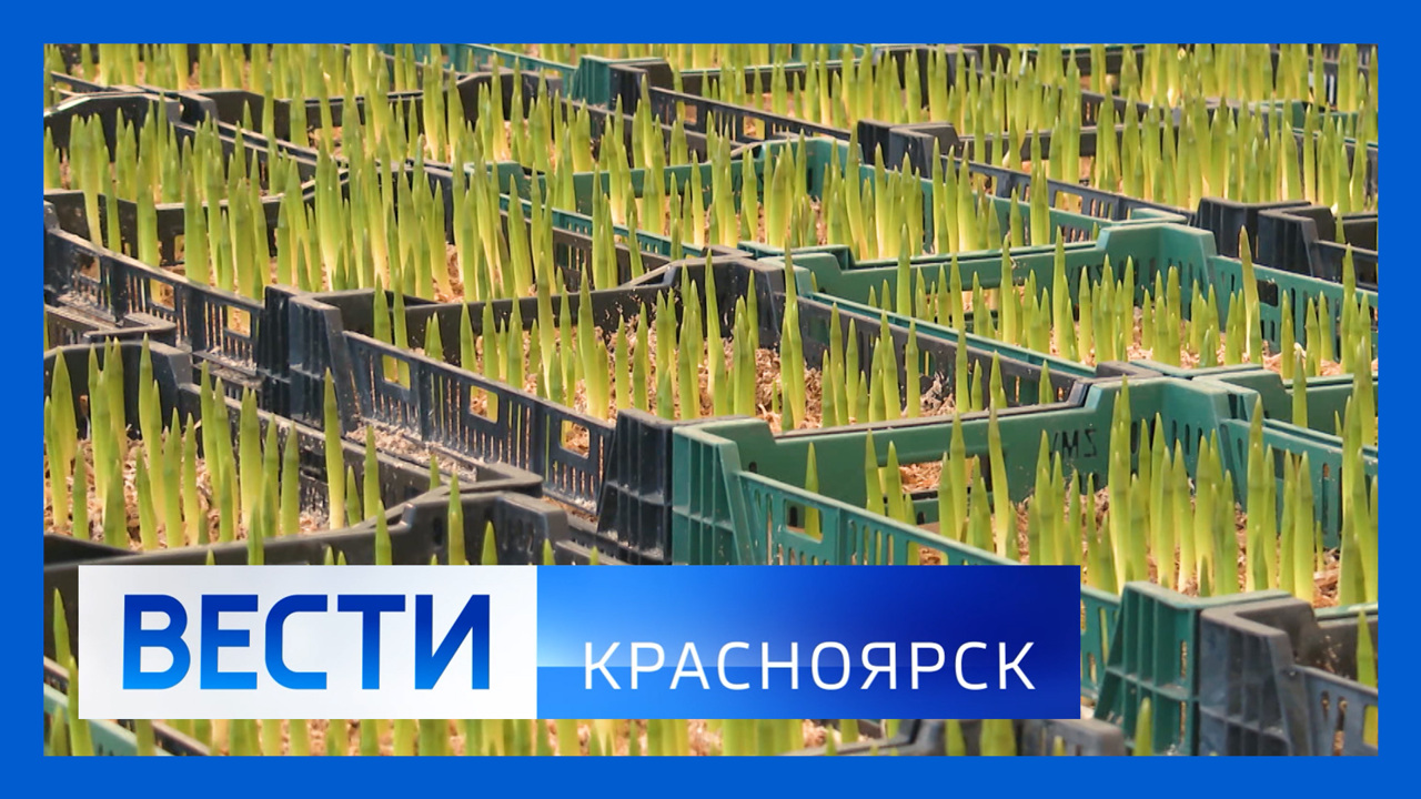 Эфир от 22.01.2024