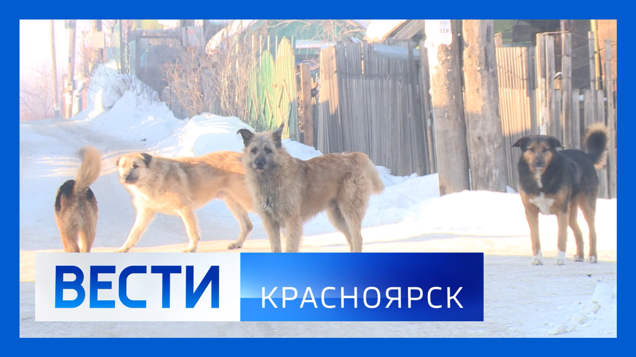 Эфир от 23.01.2024
